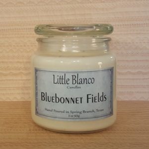 Bluebonnet Fields 15oz